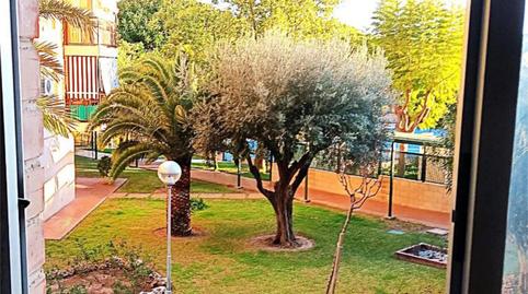 Flat for sale in Avinguda Ausiàs March, 6, Campello Playa, El Campello - image 3 Photo 3 of Flat for sale in Avinguda Ausiàs March, 6, Campello Playa, El Campello