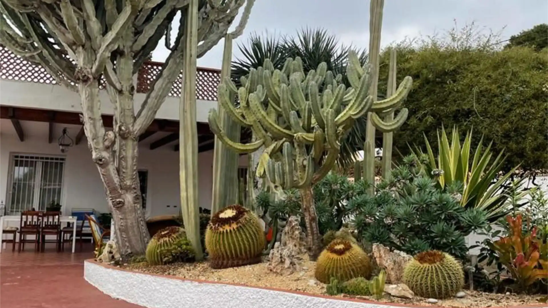 Jardí de Casa o xalet en venda en Alicante / Alacant amb Terrassa i Piscina