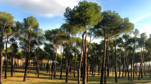 Photo 4 of Flat for sale in Calle Virgen de Icíar, 5, Zona Carretera del Plantío, Majadahonda