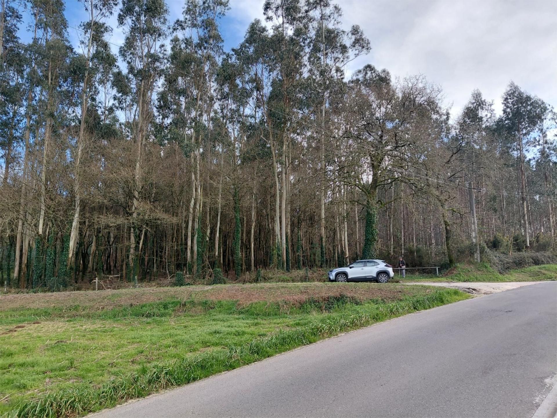 Country house zum Verkauf in Boqueixón