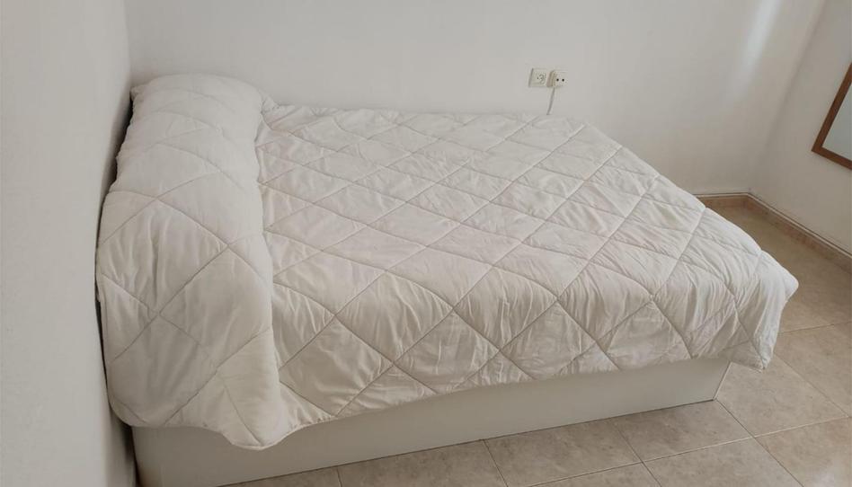 Piso para compartir en Calle Luis Vives, 47, Industria, Albacete Capital - imagen 1 Foto 1 de Piso para compartir en Calle Luis Vives, 47, Industria, Albacete Capital