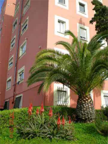 Piso en Alquiler en Son Dameto