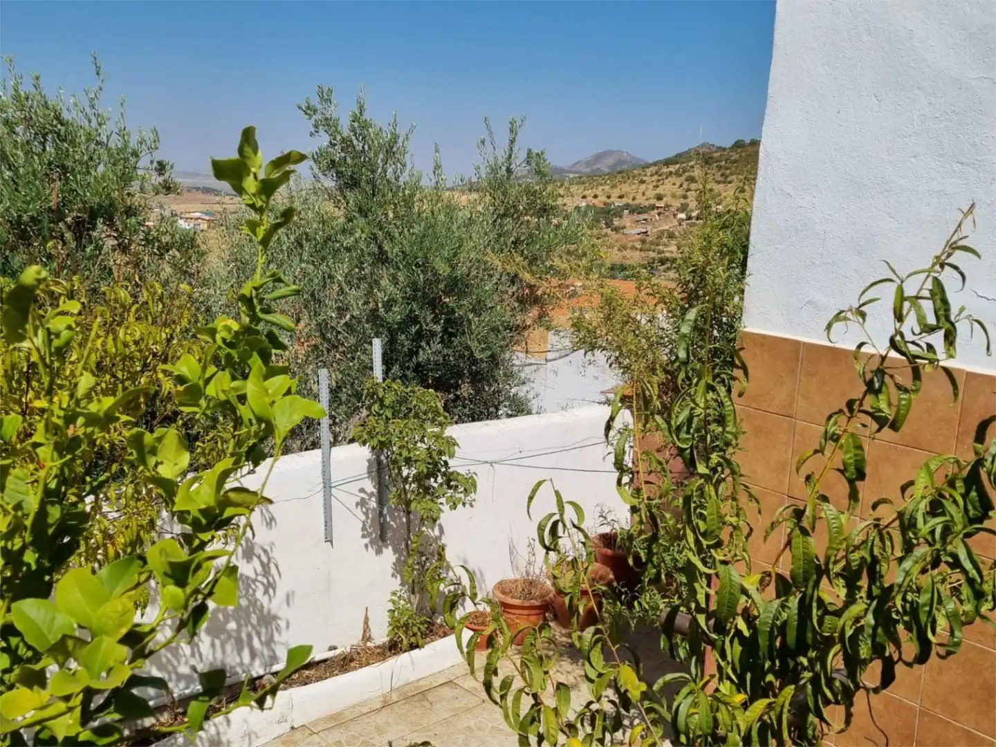 Garden of Flat for sale in Hornachos  with Terrace