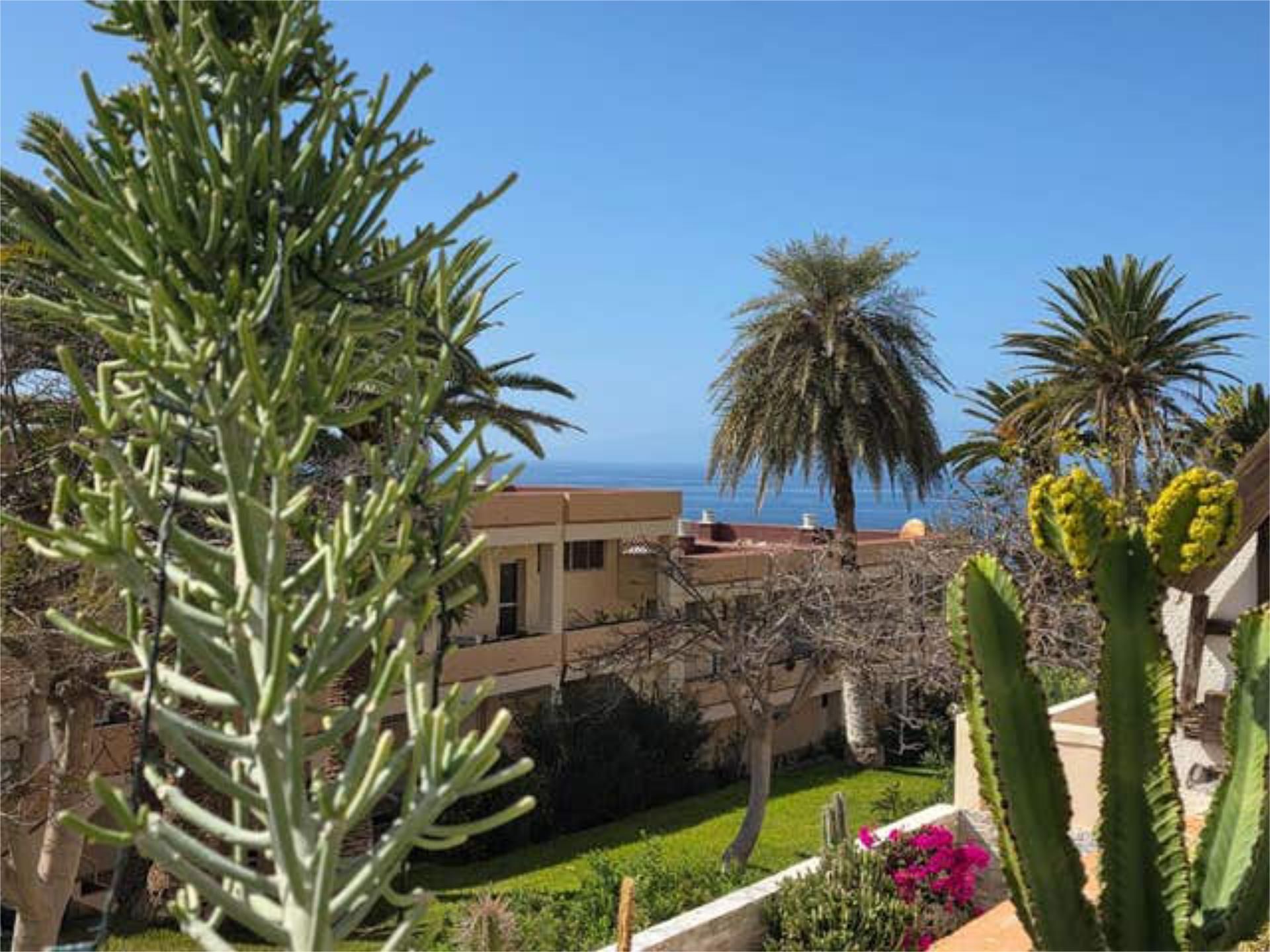 Garten von Wohnungen zum Verkauf in Adeje mit Terrasse und Schwimmbad