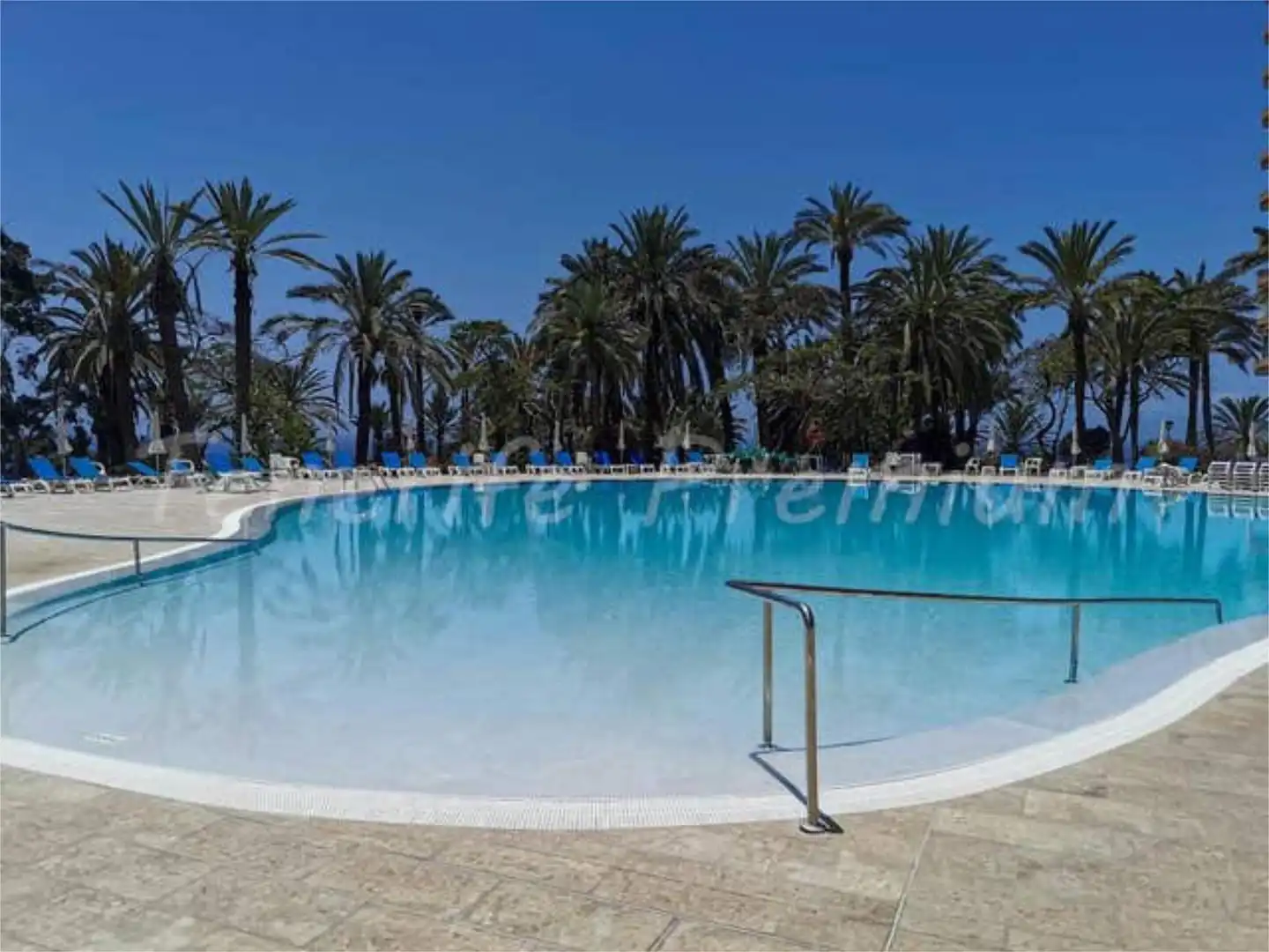Piscina de Apartamento en venta en Adeje con Terraza y Piscina