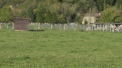 Foto 4 de Finca rústica en venda a Lugar Godos, 9, San Claudio - Trubia - Las Caldas, Oviedo