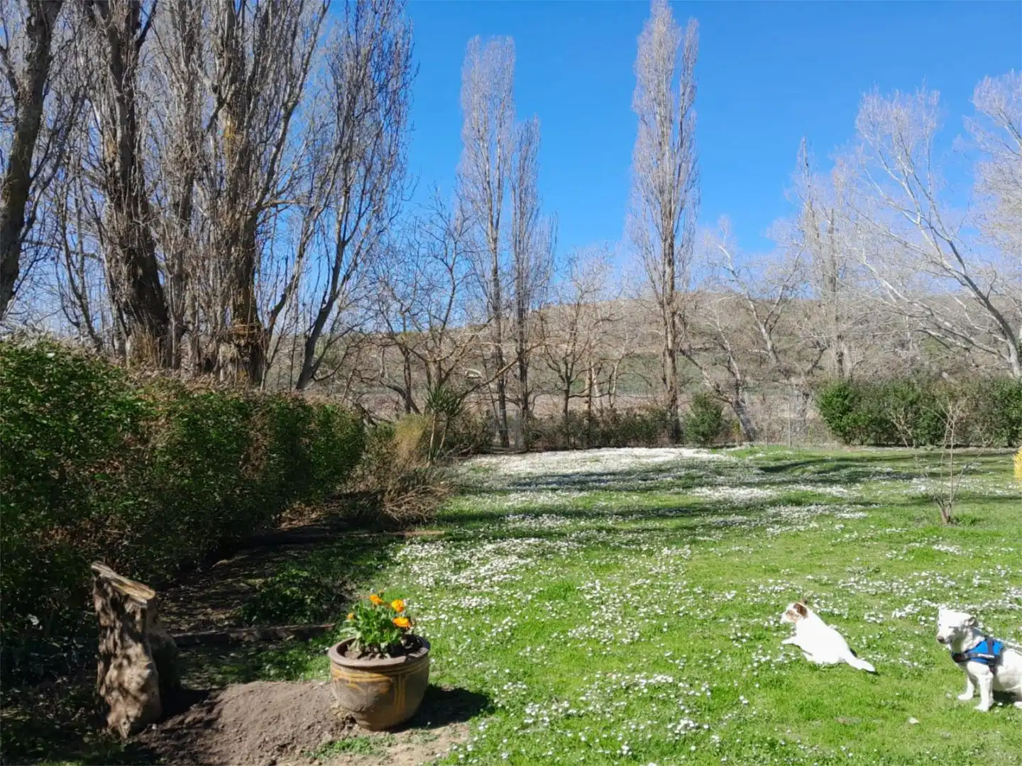 Piso en venta en Calle Fuente Vieja, 6, Viana Jardín de Piso en venta en Viana con Calefacción, Jardín privado y Parquet