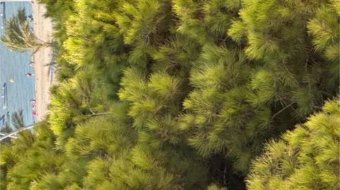 Photo 2 of Flat for sale in Calle 1498, 14, V Centenario - Piletas - Capuchinos, Sanlúcar de Barrameda