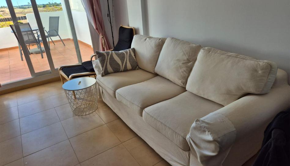 Apartamento de alquiler en Avenida Premios Principe de Asturias, 51, Terrazas de la Torre Golf, Torre-Pacheco - imagen 1 Foto 1 de Apartamento de alquiler en Avenida Premios Principe de Asturias, 51, Terrazas de la Torre Golf, Torre-Pacheco