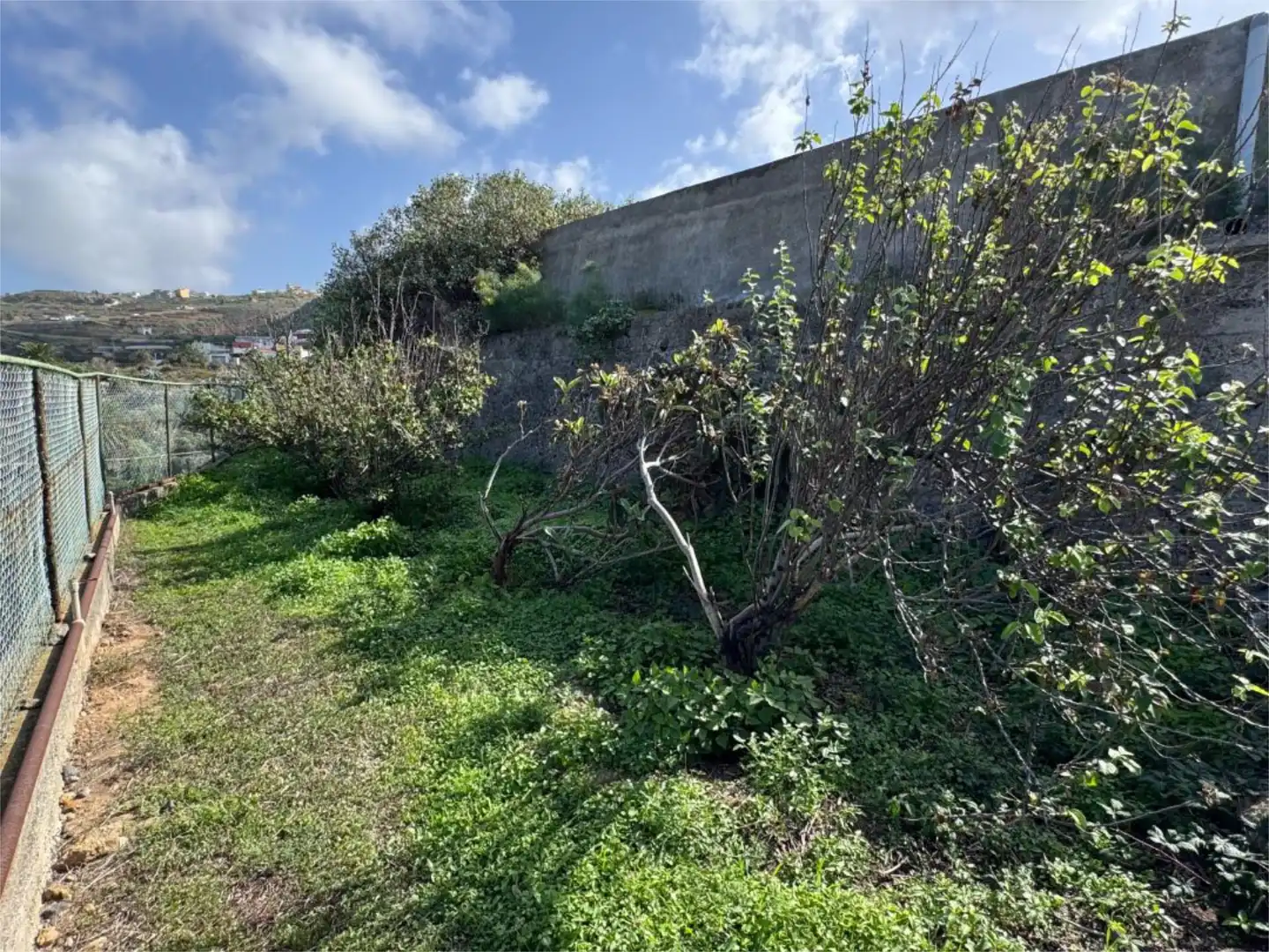 Country homes for sale in San Juan de la Rambla  with Private garden and Terrace