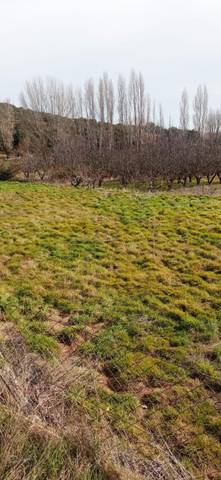 Finca rústica en Venta en Plaza Plaza, 6 en Serón de Nágima