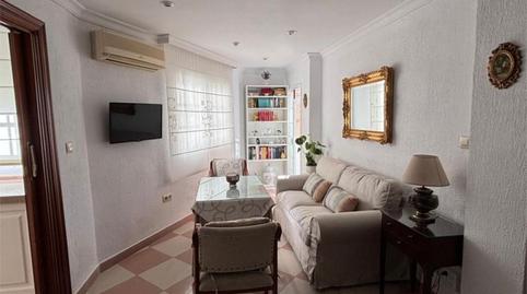 Piso de alquiler en Pago San José - Princi - Jerez, Jerez de la Frontera - imagen 5 Foto 5 de Piso de alquiler en Pago San José - Princi - Jerez, Jerez de la Frontera