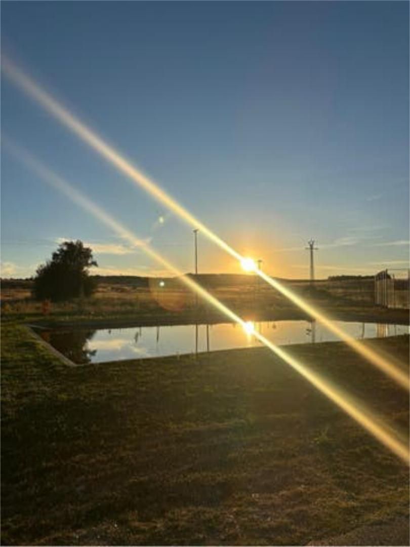 House or chalet for rent in Benavides