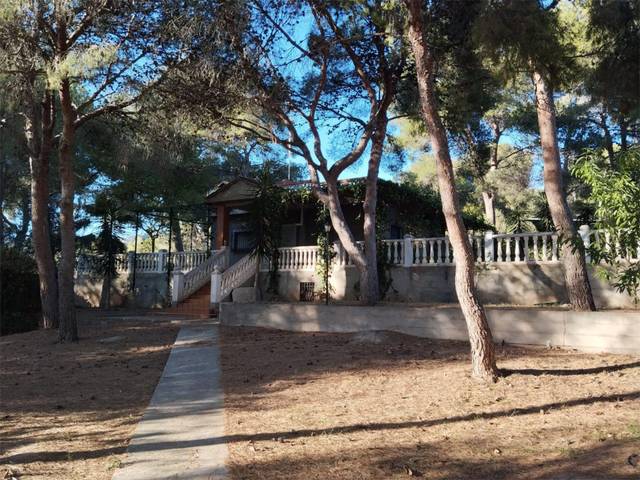 Piso en Alquiler en Plaça Poligono 12, 51 en Albalat dels Tarongers