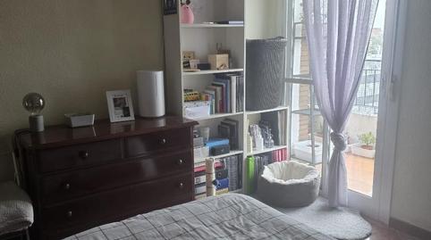 Foto 2 de Pis per a compartir a Avenida de la Reina Mercedes, 43, Sector Sur  - La Palmera - Reina Mercedes,  Sevilla Capital