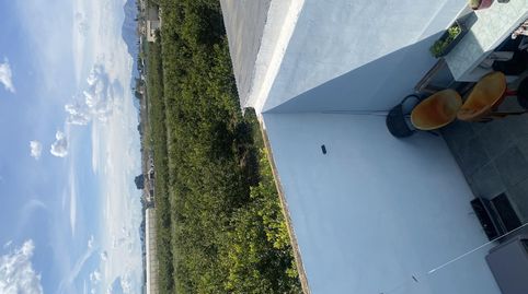 Photo 3 of Single-family semi-detached for sale in Carretera San Fulgencio, 48, Dolores, Alicante