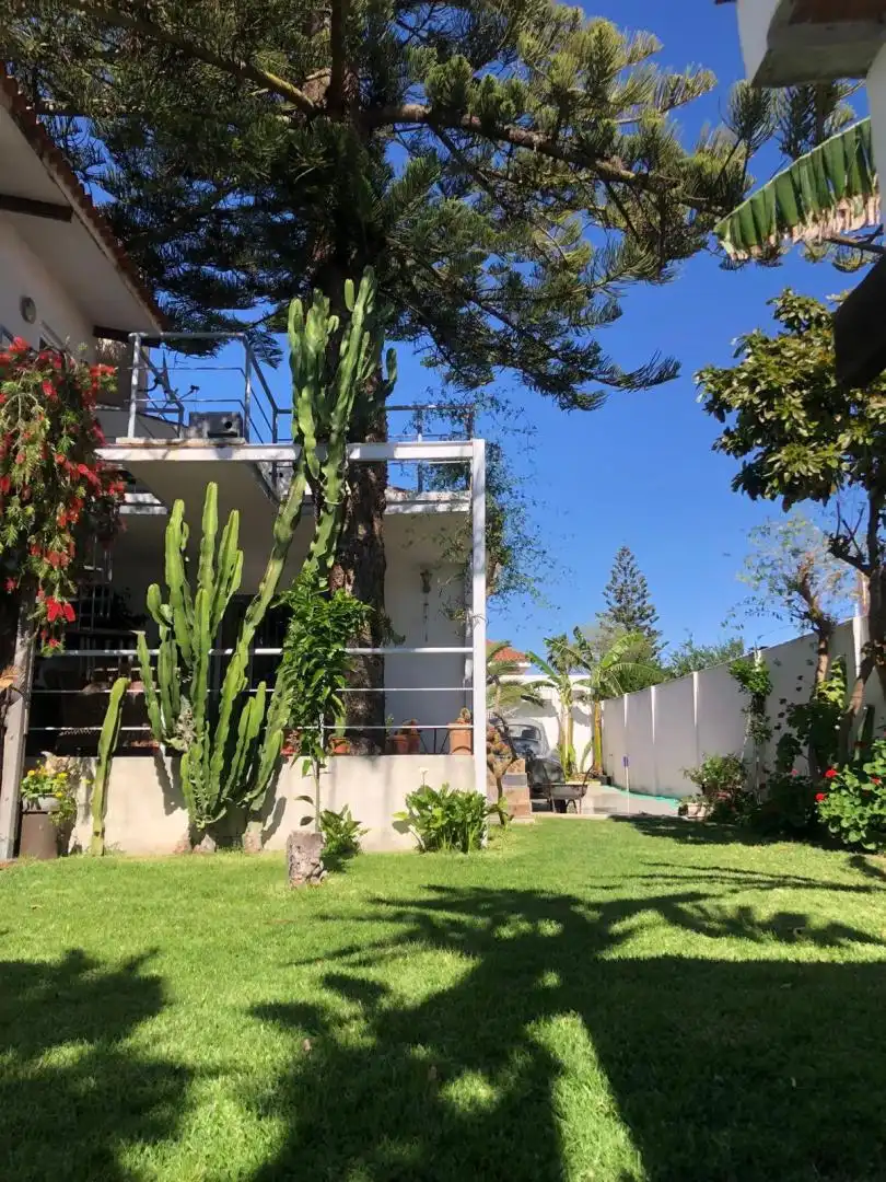 Casa o chalet en venta en Calle Granada, 175, El Rompido Jardín de Casa o chalet en venta en El Rompido con Aire acondicionado, Terraza y Piscina