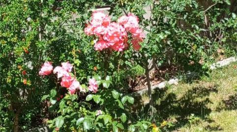 Houses for sale in Calle Cadalso de Los Vidrios, 775, Cadalso de los Vidrios, Madrid - image 3 Photo 3 of Houses for sale in Calle Cadalso de Los Vidrios, 775, Cadalso de los Vidrios, Madrid