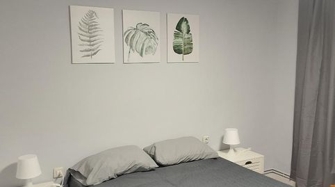 Foto 3 de Piso de alquiler en Avenida la Mancha, 12, Centro - Plaza Mayor, Ciudad Real Capital