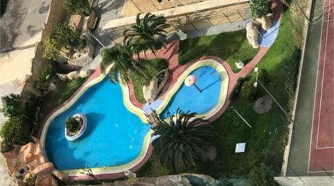 Foto 2 de Apartamento de alquiler en Almansa, Albacete