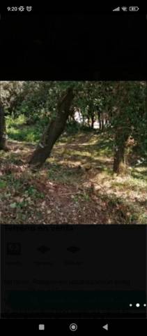 Terreno en Venta en Avinguda Catalunya, 29 en Porqueres