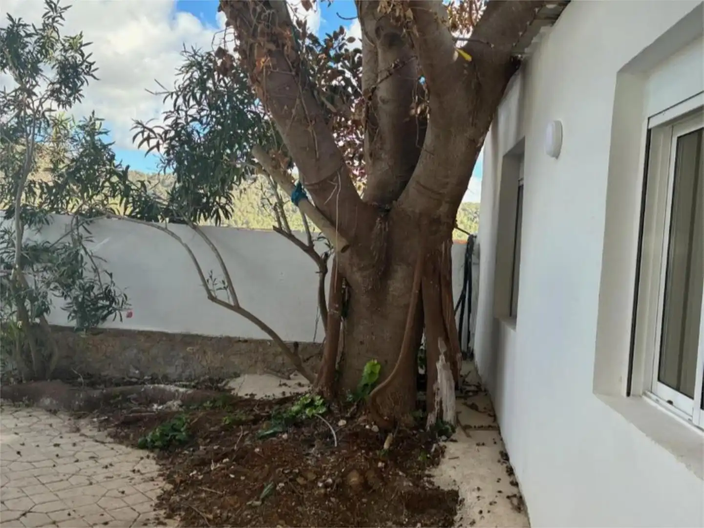 Casa o chalet de alquiler en Diseminado el Castillo, 6152, Sant Jordi de Ses Salines - Sant Francesc Jardín de Casa o chalet de alquiler en Sant Josep de sa Talaia con Aire acondicionado, Calefacción y Jardín privado