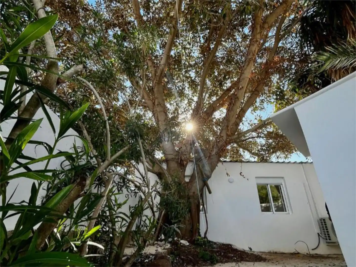 Casa o chalet de alquiler en Diseminado el Castillo, 6152, Sant Jordi de Ses Salines - Sant Francesc Jardín de Casa o chalet de alquiler en Sant Josep de sa Talaia con Aire acondicionado, Calefacción y Jardín privado