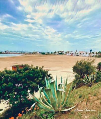 Apartamento en Alquiler en El Chorrillo - El Molino