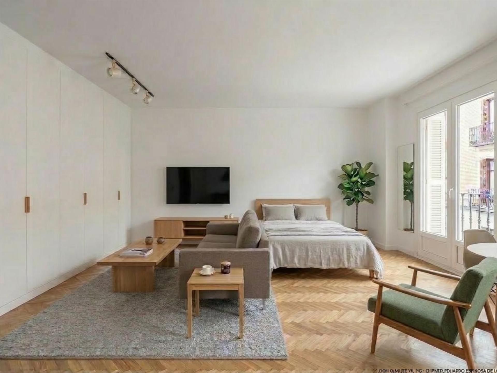 Sala de estar de Estudio de alquiler en  Madrid Capital con Aire acondicionado y Balcón