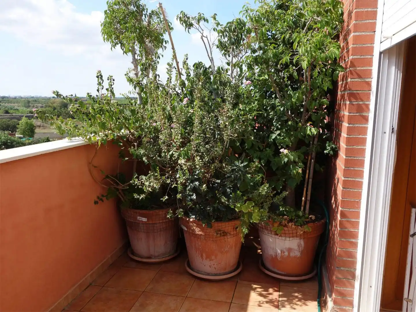 Casa o chalet en venta en Carrer de Sant Jaume, 205, Les Boqueres - Santa Quiteria Terraza de Casa o chalet en venta en Almazora / Almassora con Aire acondicionado, Jardín privado y Terraza