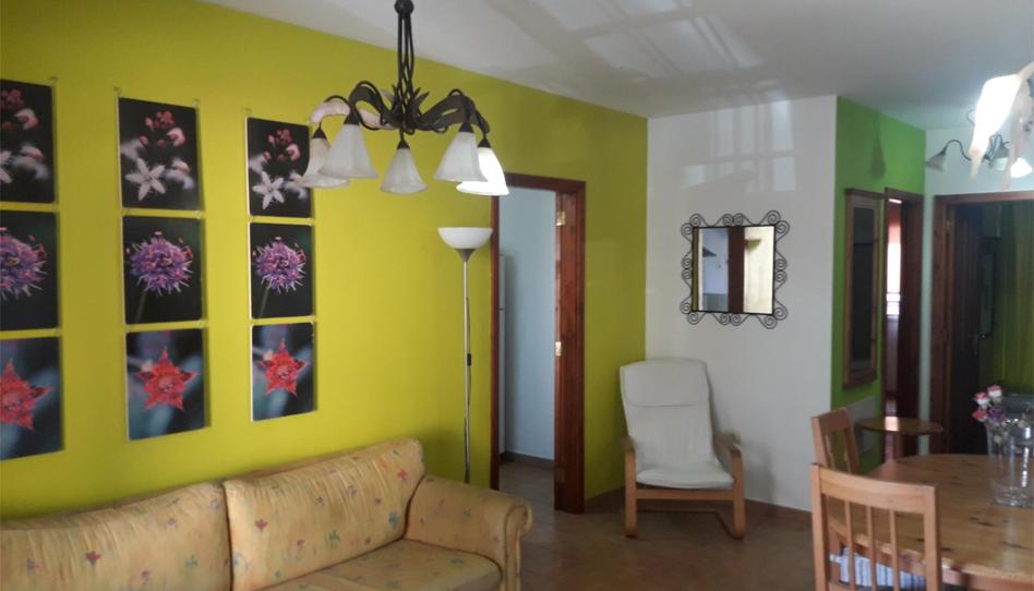 Apartament de lloguer a Calle la Folia, 12, Llano del Camello, San Miguel de Abona - imatge 1 Foto 1 de Apartament de lloguer a Calle la Folia, 12, Llano del Camello, San Miguel de Abona