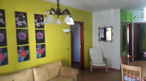 Apartament de lloguer a Calle la Folia, 12, Llano del Camello, San Miguel de Abona - imatge 2 Foto 2 de Apartament de lloguer a Calle la Folia, 12, Llano del Camello, San Miguel de Abona