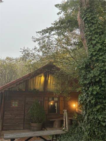 Local comercial en Alquiler en Cercedilla