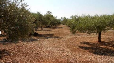 Foto 2 de Finca rústica en venda a Carrer Amposta, 27, La Galera , Tarragona