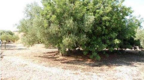 Foto 3 de Finca rústica en venda a Carrer Amposta, 27, La Galera , Tarragona