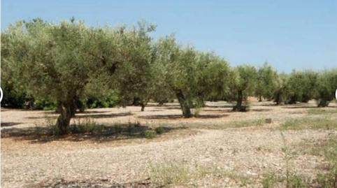 Foto 5 de Finca rústica en venda a Carrer Amposta, 27, La Galera , Tarragona