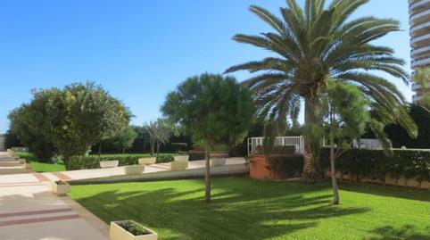 Foto 3 de Apartament de lloguer a Carrer del Cap de Sant Antoni, 4, Playa de Gandia, Gandia