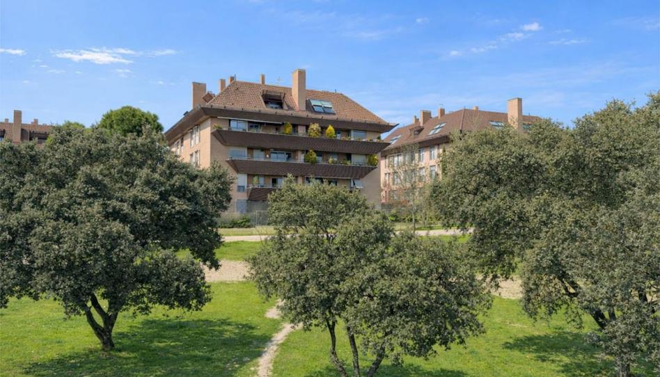 Àtic de lloguer a Calle de la Comunidad Canaria, 7, Valdepastores - Las Encinas, Boadilla del Monte - imatge 1 Foto 1 de Àtic de lloguer a Calle de la Comunidad Canaria, 7, Valdepastores - Las Encinas, Boadilla del Monte