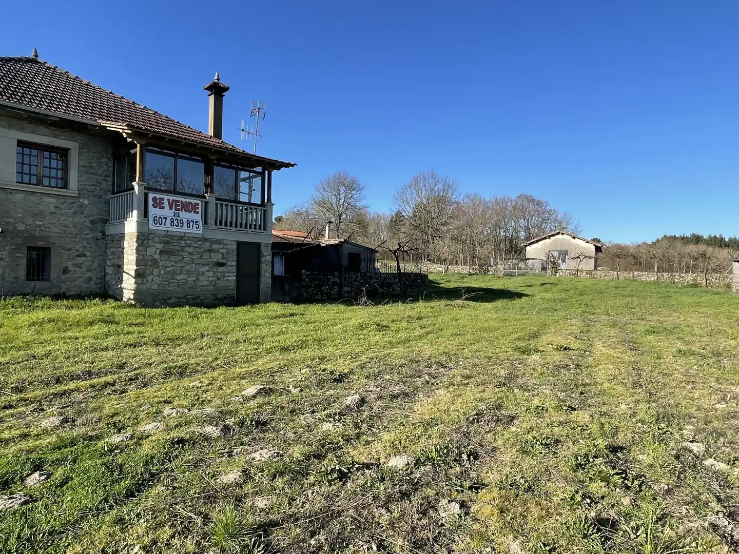 Casa o chalet en venta en Pantón con Terraza
