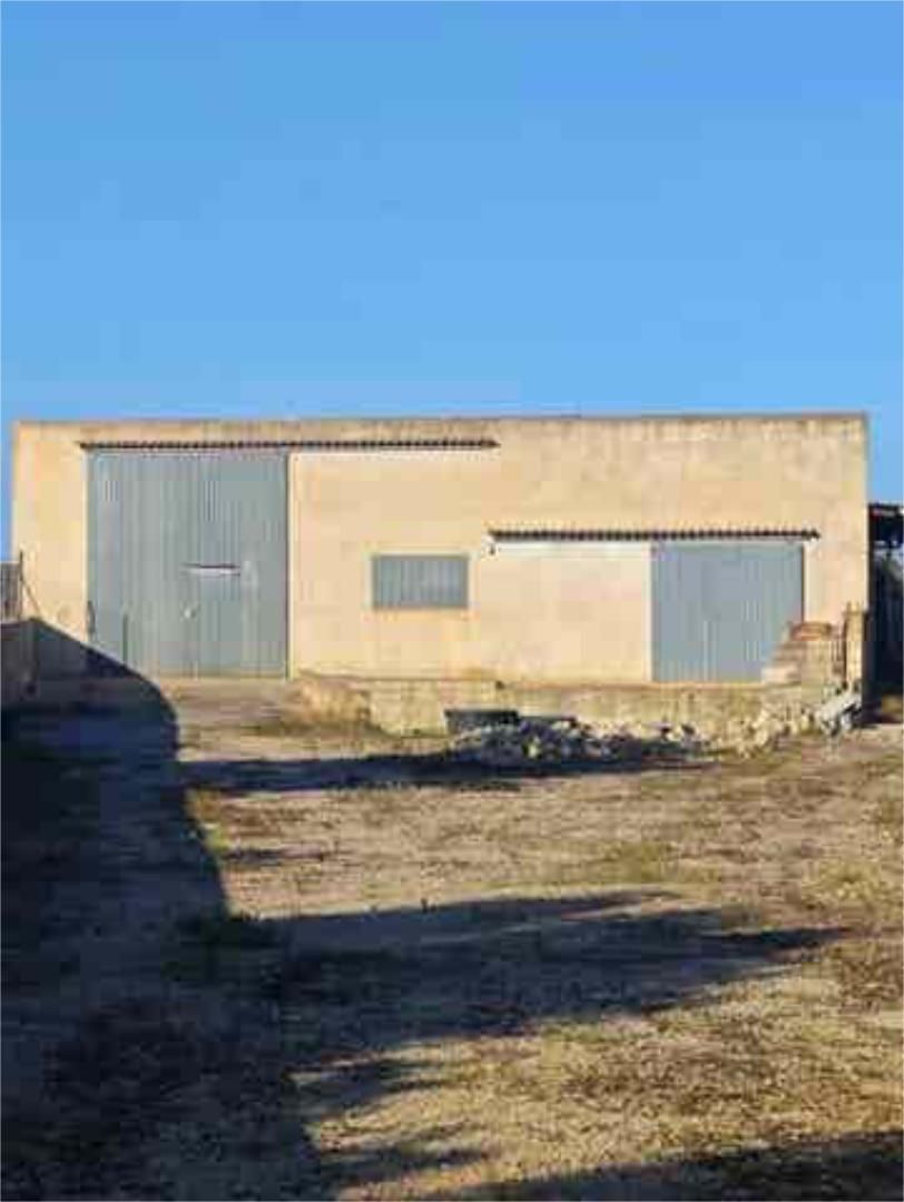 Vista exterior de Trastero de alquiler en Petra
