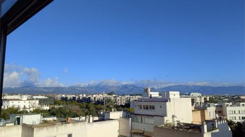 Room in El Secar de la Real, Palma de Mallorca - image 3 Photo 3 of Room in El Secar de la Real, Palma de Mallorca
