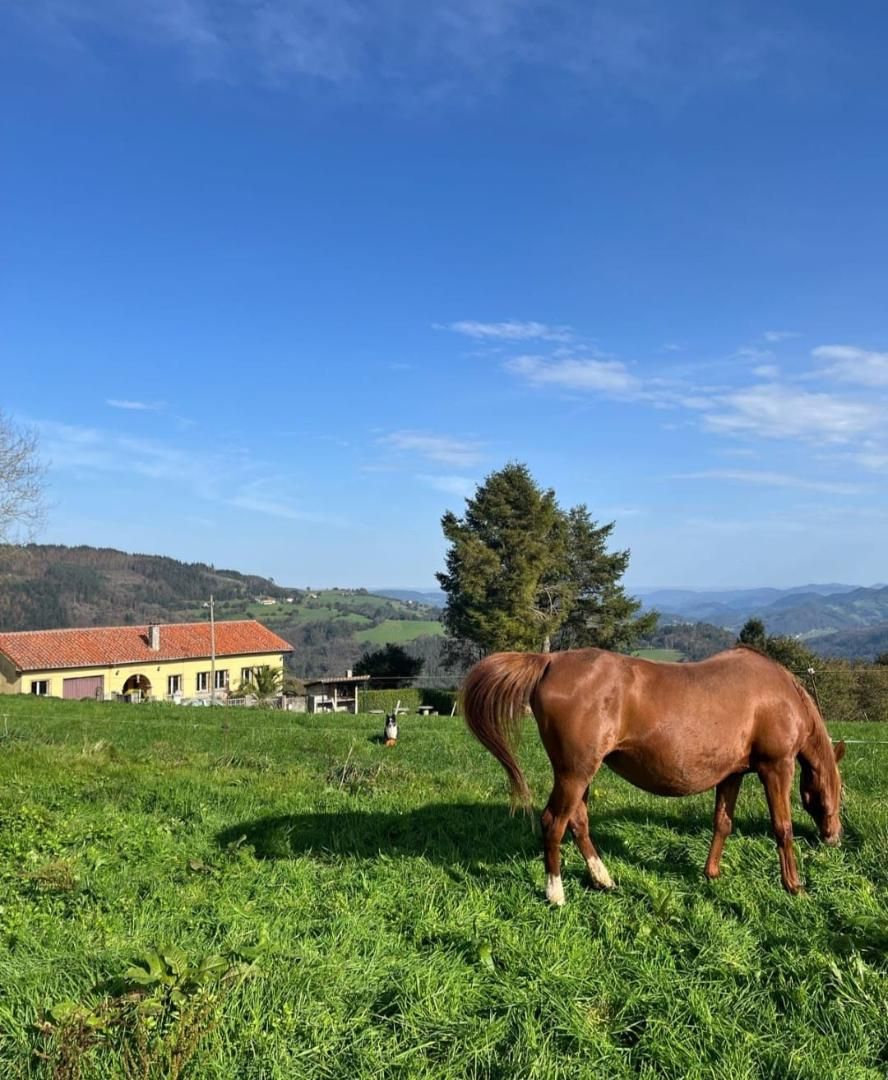 Vista exterior de Finca rústica de lloguer en Salas amb Calefacció, Jardí privat i Parquet