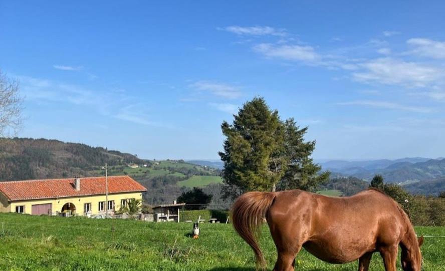 Finca rústica de lloguer a Lugar, 10, Salas, Asturias - imatge 1 Foto 1 de Finca rústica de lloguer a Lugar, 10, Salas, Asturias