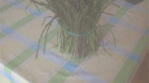 Casa o chalet en venta en Calella de Palafrugell, Palafrugell - imagen 2 Foto 2 de Casa o chalet en venta en Calella de Palafrugell, Palafrugell