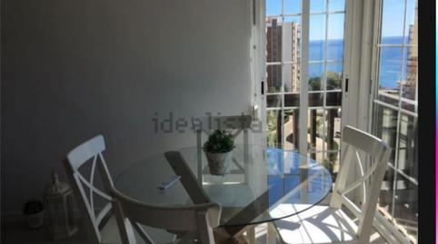 Estudio de alquiler en Calle Gustavo a. Becquer, 2b, Campoamor, Orihuela - imagen 3 Foto 3 de Estudio de alquiler en Calle Gustavo a. Becquer, 2b, Campoamor, Orihuela