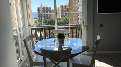 Estudio de alquiler en Calle Gustavo a. Becquer, 2b, Campoamor, Orihuela - imagen 4 Foto 4 de Estudio de alquiler en Calle Gustavo a. Becquer, 2b, Campoamor, Orihuela