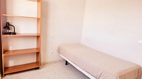 Wohnung zur Miete in Calle Estrella Canopus, 1, Pino Montano - Consolación, Sevilla Capital - Bild 3 Foto 3 von Wohnung zur Miete in Calle Estrella Canopus, 1, Pino Montano - Consolación, Sevilla Capital