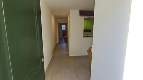 Single-family semi-detached for rent in Calle Virgilio Viniegra, 50, San Roque - Ronda Norte, Badajoz Capital - image 4 Photo 4 of Single-family semi-detached for rent in Calle Virgilio Viniegra, 50, San Roque - Ronda Norte, Badajoz Capital