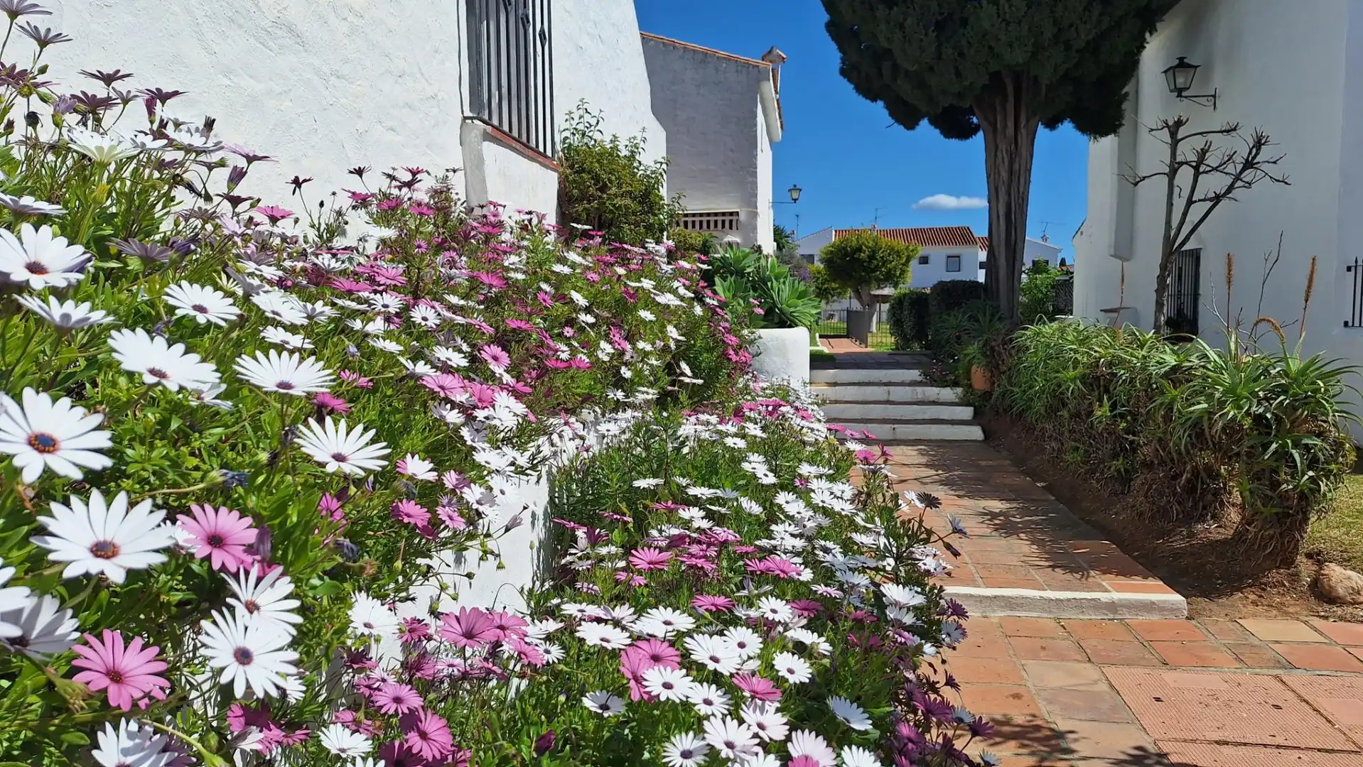 Jardín de Casa adosada en venta en Marbella con Jardín privado, Terraza y Horno