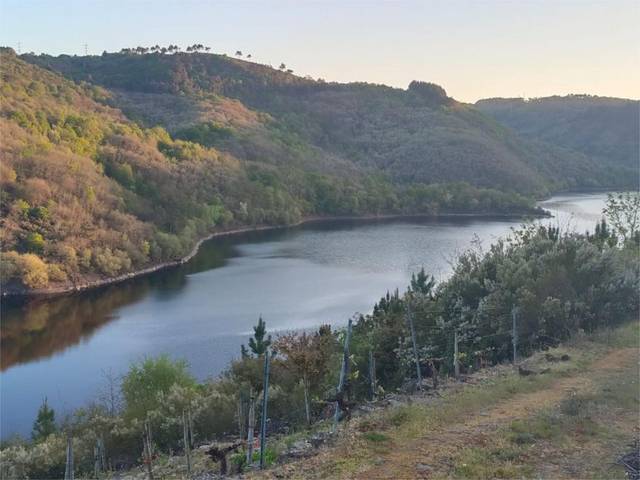 Casa-chalet en Venta en Lugar Vidal-Pq Pesqueiras, 6 en Chantada